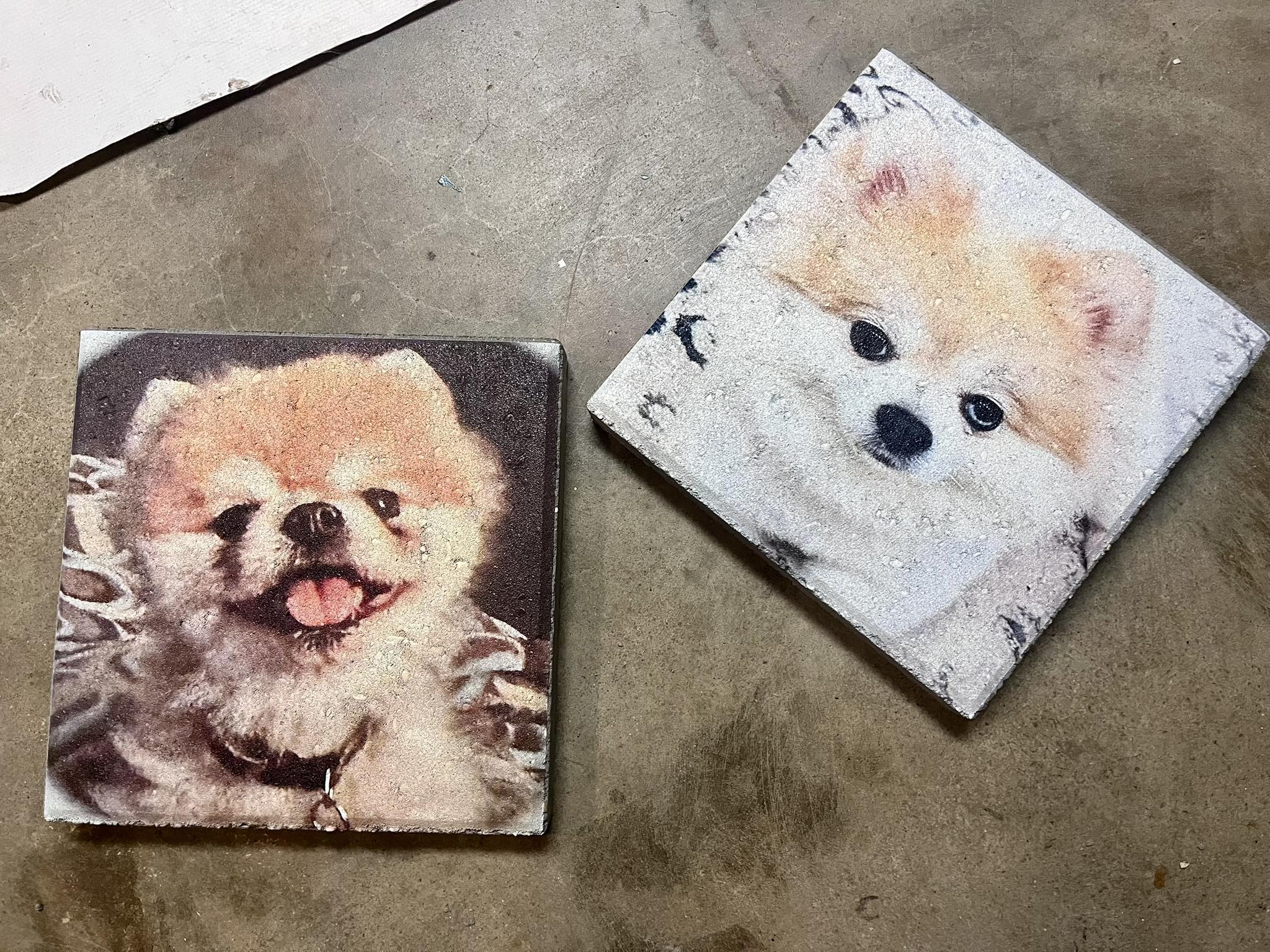 Year-round seasonal merchandise and themed products for every holiday